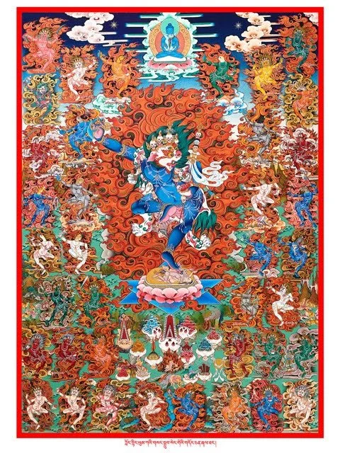 Notogri odam tovuqni sikadi Notogri odam tovuqni sikadi